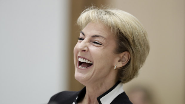 Minister for Small and Family Business, Skills and Vocational Education Michaelia Cash during a Senate estimates hearing.