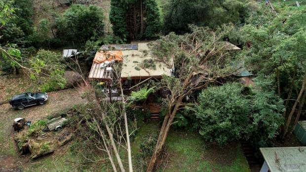 A damaged home in Kalorama after five trees crashed into it during this month’s storm. 