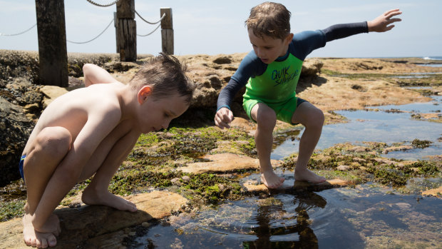 Iggy Wiseman, 7 (left), and brother Jet, 5, look for crabs in the rockpools at Mahon Pool.