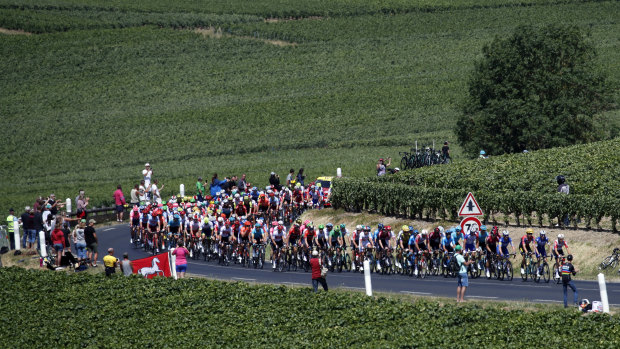 The pack rides through vineyards during the fourth stage of the Tour de France.