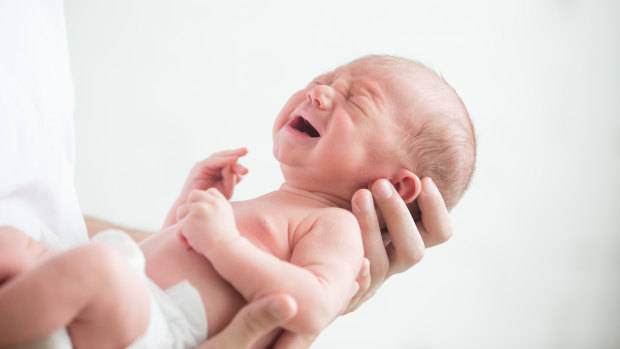 Health Minister Brad Hazzard said he hoped grandparents, carers and the partners of pregnant women would get vaccinated for whooping cough to protect newborn babies. 