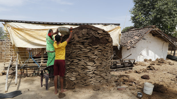 Villagers pile up cow dung to prepare cow dung cake, used as fuel,  at Ganeshpur village, Uttar Pradesh state, India.
