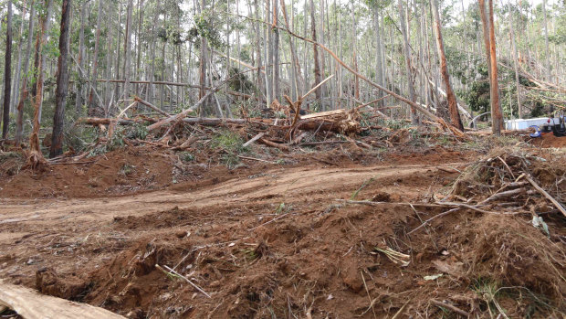 Residents are concerned about salvage logging at Babbington Hill, east of Daylesford.