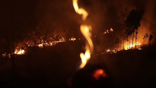 A fire burns in highway margins in the city of Porto Velho, Rondonia state, part of Brazil's Amazon.