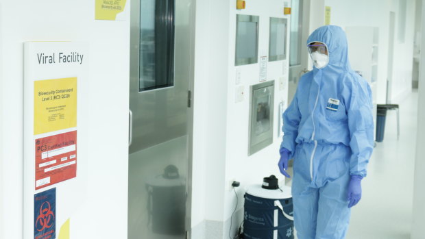 A worker in full protective gear at QIMR Berghofer's secure facility in Brisbane where work on treatments for the virus is being conducted.