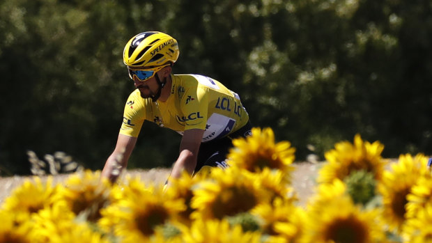 France's Julian Alaphilippe, wearing the overall leader's yellow jersey, rides next to a field of sunflowers during the fourth stage.