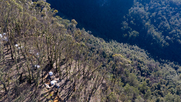 National Parks and Wildlife Service staff work metres from the cliff edge of Govetts Leap.
