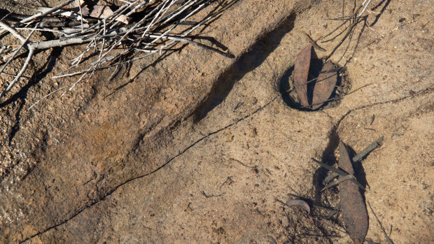 A crack and a drill hole in the rock base of the Eastern Tributary, in the Woronora catchment. There are concerns that the coal mine beneath the ground has caused cracking in the rocks causing water to drain away. 