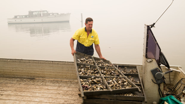 Mr Alford has farmed oysters on the Hawkesbury for 23 years. "A good 15 to 16 years of that" were spent in disease.