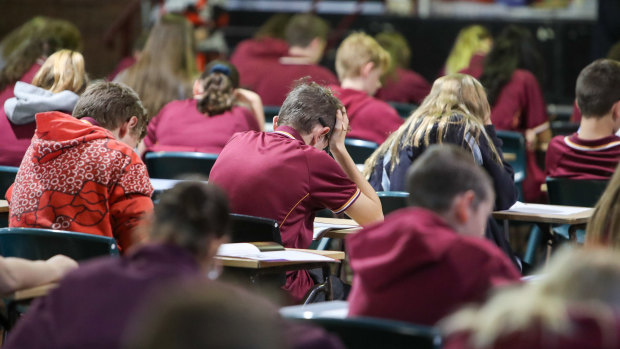 Australia publishes more test data online than any similar country, a new review has found.
