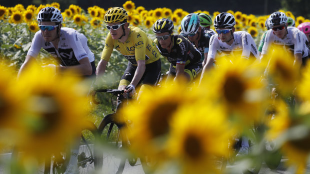 Tall poppy: Yellow jersey leader Geraint Thomas has been the clear standout in 2018.