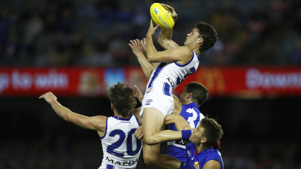 Hop to it: North Melbourne's Curtis Taylor flies high above the pack.