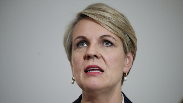 Labor frontbencher Tanya Plibersek.