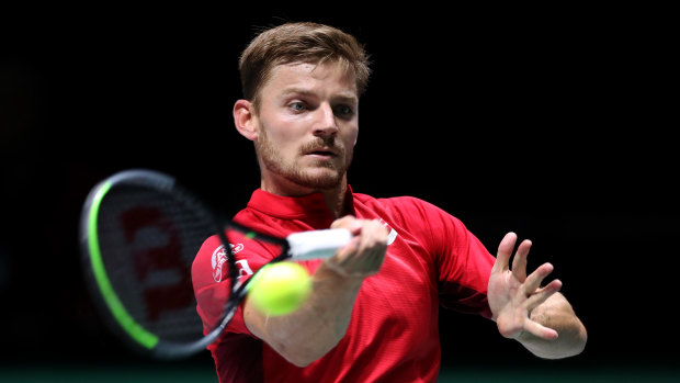 David Goffin has an impressive record in Davis Cup singles rubbers.