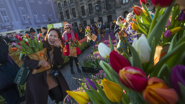 A woman waves as she poses with tulips she picked for free in front of the Royal Palace in Amsterdam, Netherlands, on National Tulip Day in 2019.