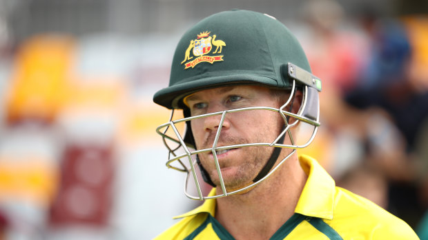 David Warner has a desire to captain his country.