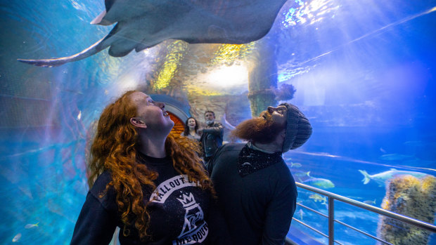 Sarah Noonan and Alister Winkel, from Traralgon, visiting the Sea Life aquarium in the city. 