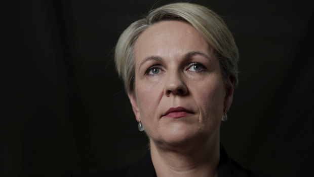 Labor's Tanya Plibersek said Liberal Premier Gladys Berejiklian handled the 2GB interview gracefully.