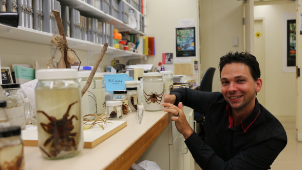 Dr Danilo Harms, an international spider expert from Germany’s Centre for Natural History, visits Queensland Museum to work on an updated and illustrated catalogue of more than 500 spider species.
