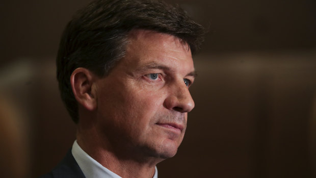 Federal Energy Minister Angus Taylor's department may have been left out of the creation of the proposed forced divestment big stick.