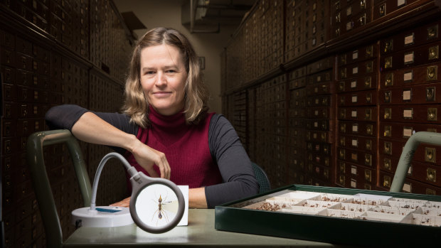 La Trobe University researcher Dr Heloise Gibb.