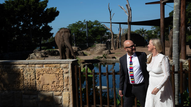 Tahi Cody and Matt Hayward are one of 40 couples who will be married on Sunday at Taronga Zoo.
