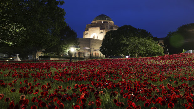 An installation of 62,000 poppies to mark the centenary of the end of the First World War, at the Australian War Memorial.