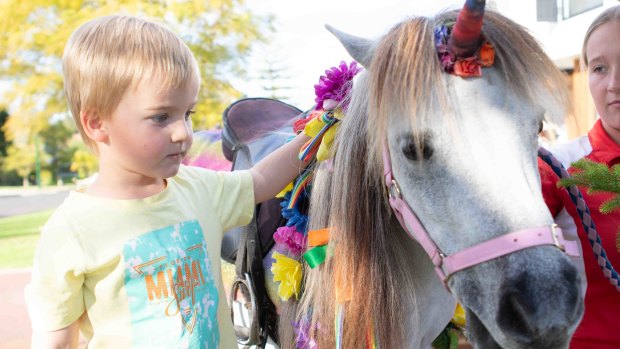 Hamish, of Floreat, wished to spend time with 'Cookie the pony' to celebrate the end of the COVID-19 lockdown.