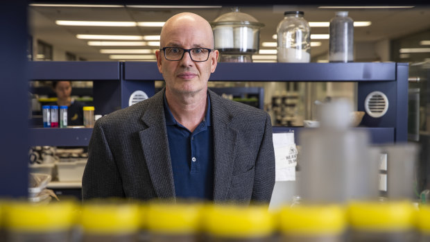 Sydney University virologist Professor Edward Holmes.