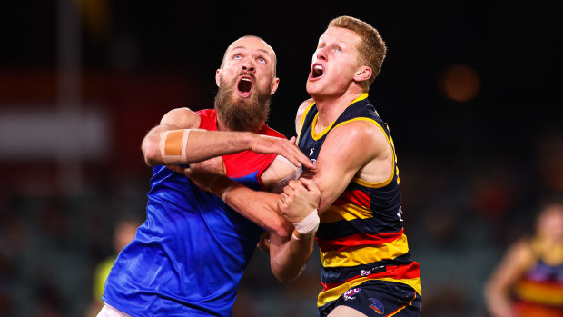  Max Gawn and Adelaide's Reilly O'Brien compete for the ball at Adelaide Oval on Wednesday night.