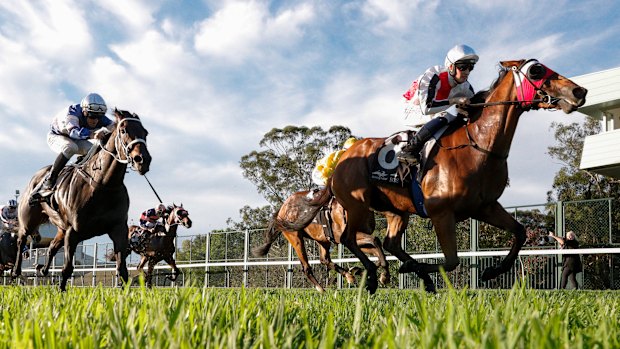Racing returns to Hawkesbury on Thursday.