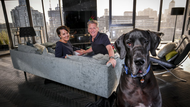 Welcome to my pad: He's a big unit, but Wallace the Great Dane is the perfect inner-city apartment pet, say his owners Rebecca and Stephen Edwards, of Docklands.   