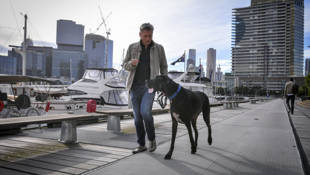 "Is that a horse?" It's the most common question that passersby ask Stephen Edwards of his Great Dane dog Wallace, pictured walking near their Docklands apartment block. 