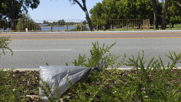 Plastic bag litter by Perth's Swan River. 