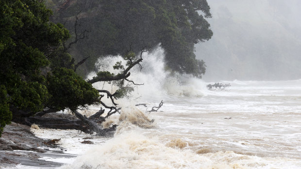 Huge waves from the effects of Cyclone Gabrielle on the Goat Island Marine Reserve.