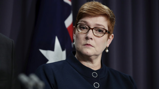 NSW minister Stuart Ayres is married to Foreign Minister Marise Payne.
