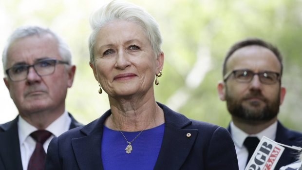 Kerryn Phelps was at the City of Sydney council meeting on Monday night, after she met with crossbench MPs in Canberra last week. 