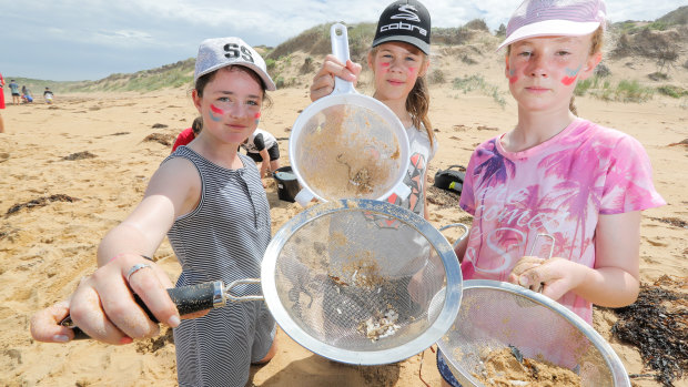 Terang College students Gemma, Abbey and Charlotte collect nurdles on Second Beach, Warrnambool.