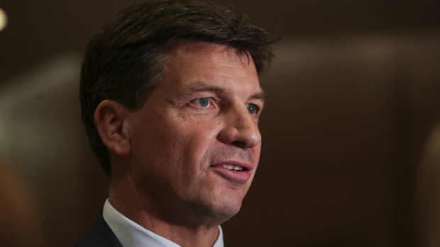 Energy minister Angus Taylor.