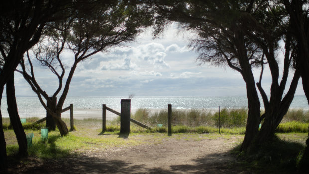 Rye on the Mornington Peninsula is a Buruli ulcer hot spot. 