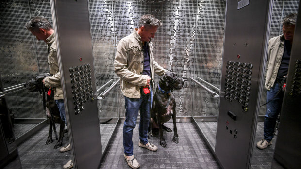 Care for a walk? Wallace the Great Dane, with his owner Stephen Edwards, is a familiar sight in his Docklands apartment tower lift. 
