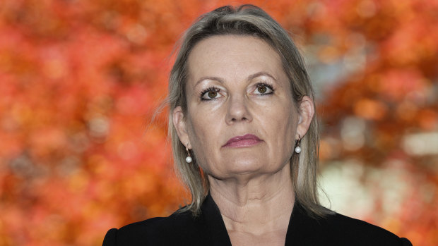 Liberal MP Sussan Ley addresses the media after the introduction of the Private Members Bill (Live Sheep Long Haul Export Prohibition Bill 2018), in the House of Representatives at Parliament House in Canberra on  Monday.