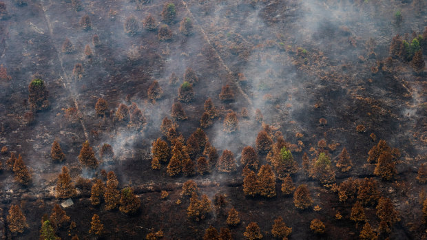 Aerial view of peatland and forest fires in Central Kalimantan on Saturday.
