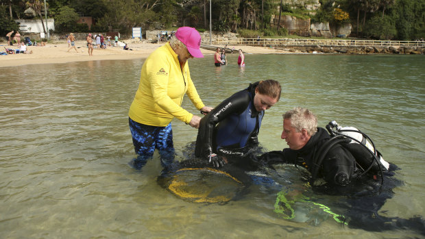 Ashlee Florrimell is assisted from the water into a beach wheelchair after a dive at Shelly Beach in Manly.