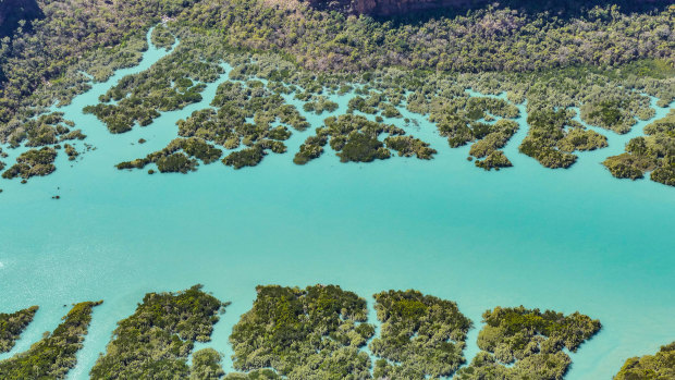 Croc country: Hunter River and Porosus Creek.