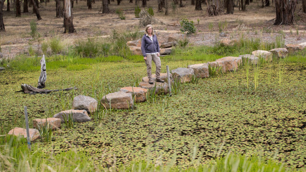 Rebecca Ramsden stands on boulders in her wetland. 