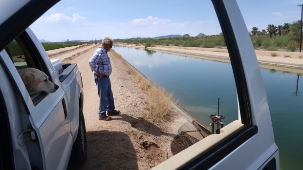 Paul “Paco” Ollerton and his dog look towards the canal system that delivers Colorado River water to his farm near Casa Grande, Arizona.