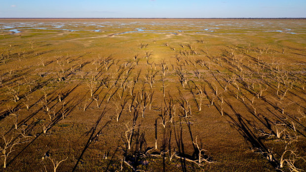 Bradfield scheme proponents  say it would help water inland areas such as Lake Pamamaroo, part of the Menindee Lake System in western NSW.