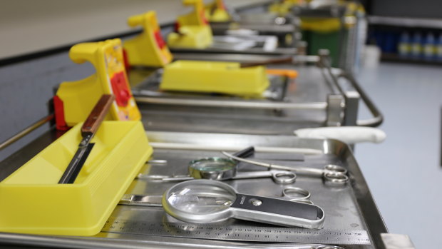 Each forensic pathologist has a tray on a small trolley.