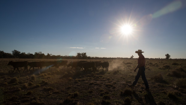 Farmers say national environment laws are too complicated and don't reflect the realities of farm life.